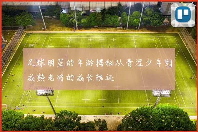 足球明星的年龄揭秘从青涩少年到成熟老将的成长轨迹