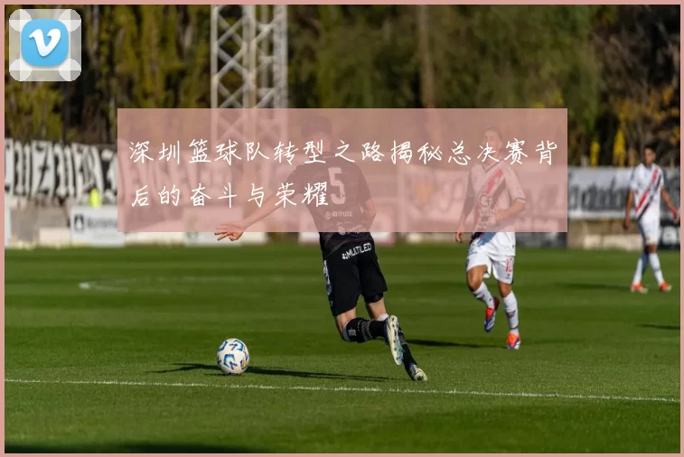 深圳篮球队转型之路揭秘总决赛背后的奋斗与荣耀