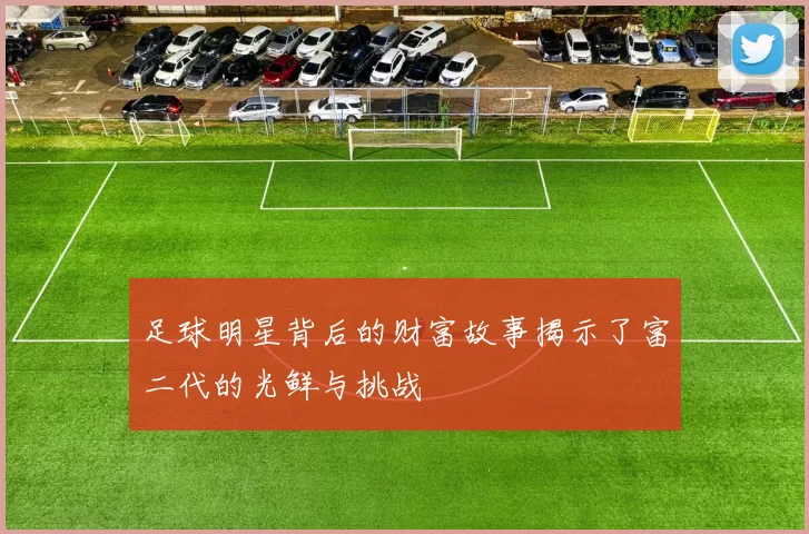 足球明星背后的财富故事揭示了富二代的光鲜与挑战