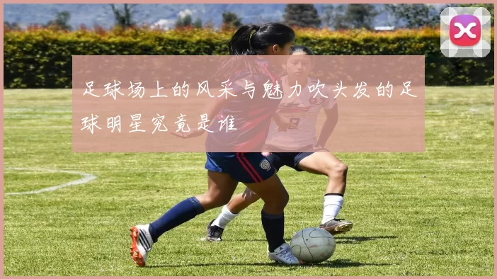 足球场上的风采与魅力吹头发的足球明星究竟是谁