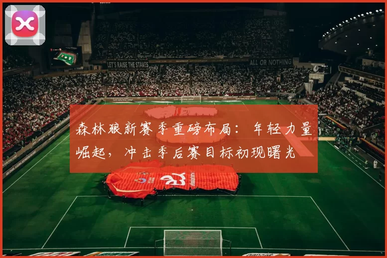 森林狼新赛季重磅布局：年轻力量崛起，冲击季后赛目标初现曙光