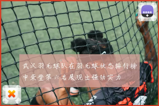 武汉羽毛球队在羽毛球状态排行榜中荣登第六名展现出强劲实力