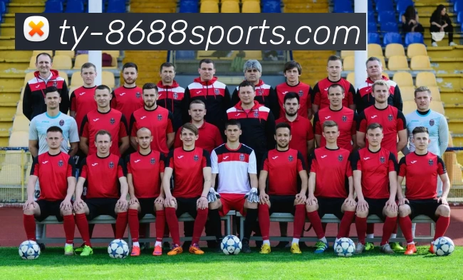 App Interface Preview